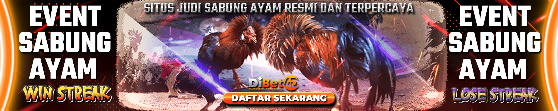 event-sabung-ayam-dibet4d